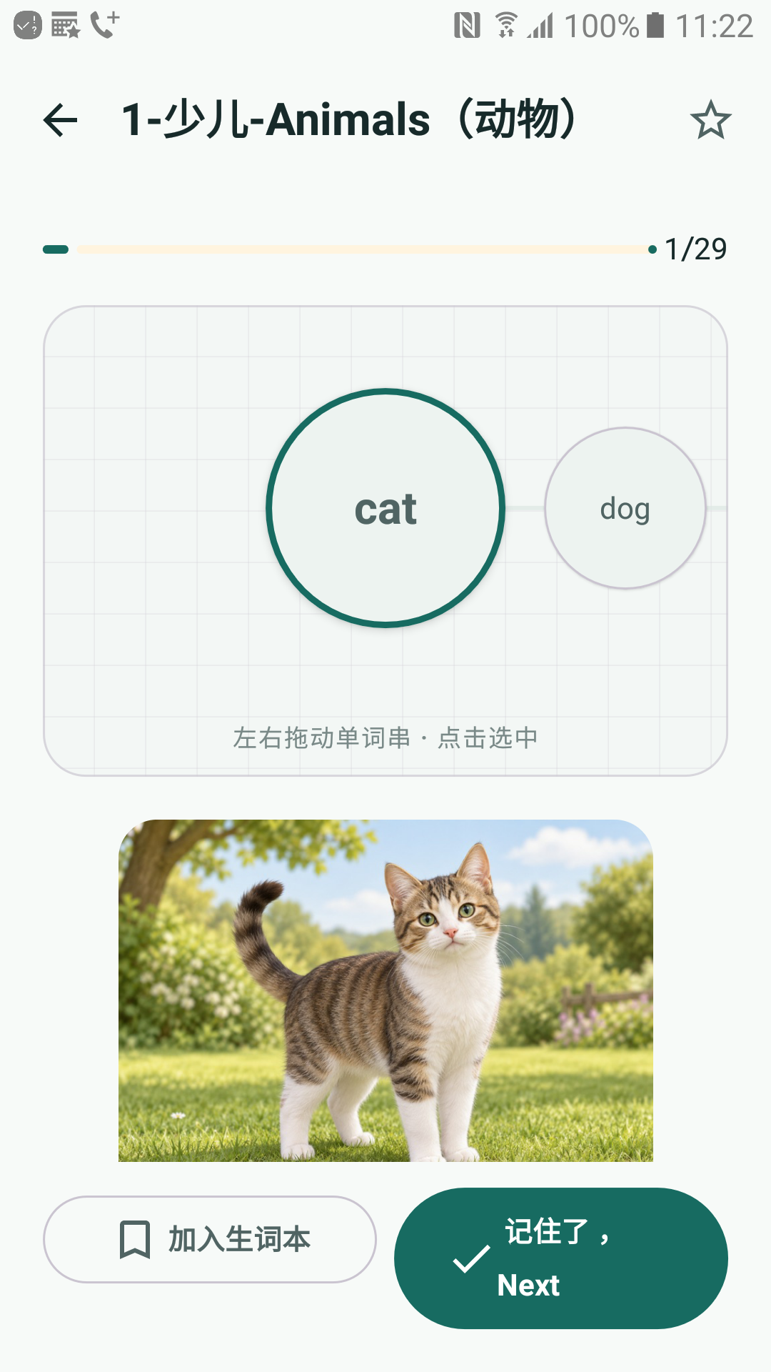 单词图文学习